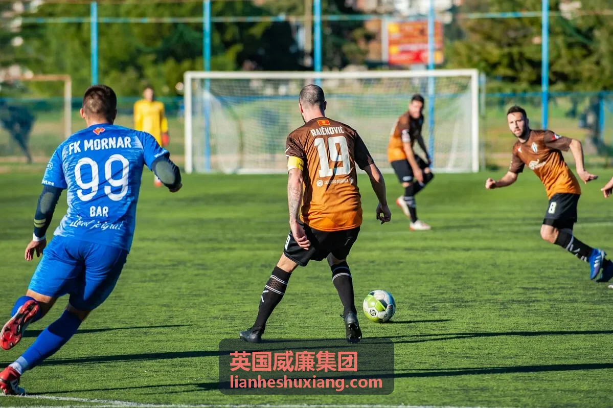 英国威廉集团医疗健康案例